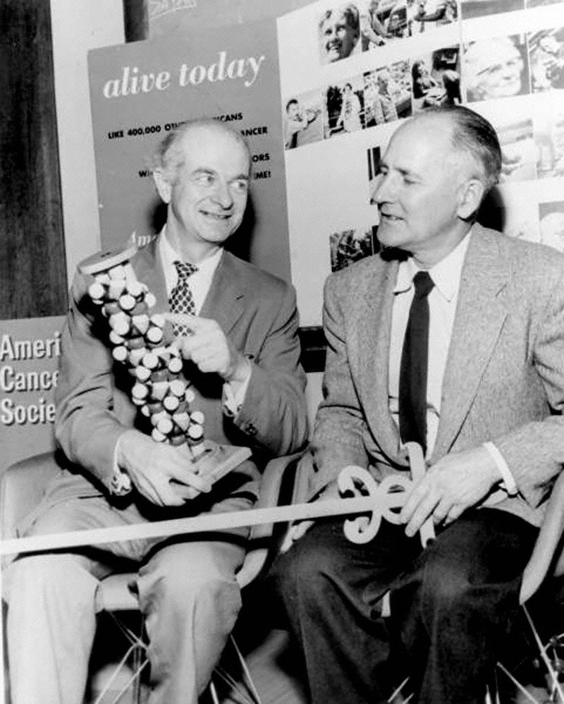 PaulingBeadleAlpha-helix